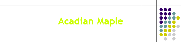 Acadian Maple